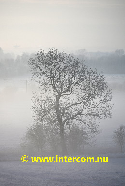 059_DSC_3804_01_4371